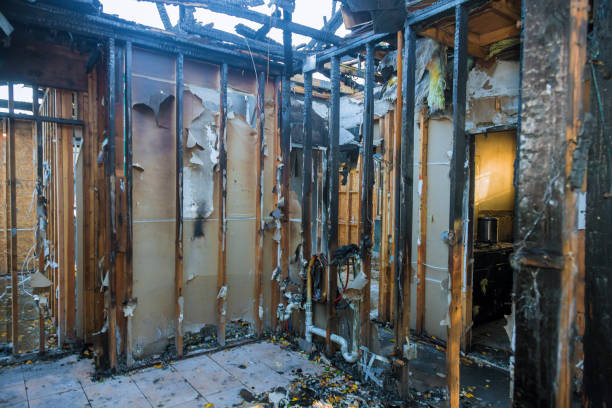 Professional Smoke Damage Removal technician working in Ester, AK